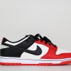 Celebrates The 75th Anniversary Of The NBA With The Dunk Low
